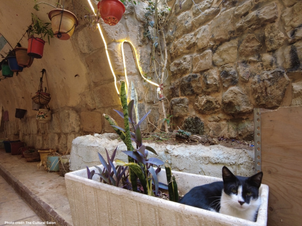 pet-shop-West-Bank